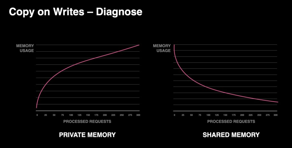 Immortal-Objects-Python_image-1.jpg?w=1024